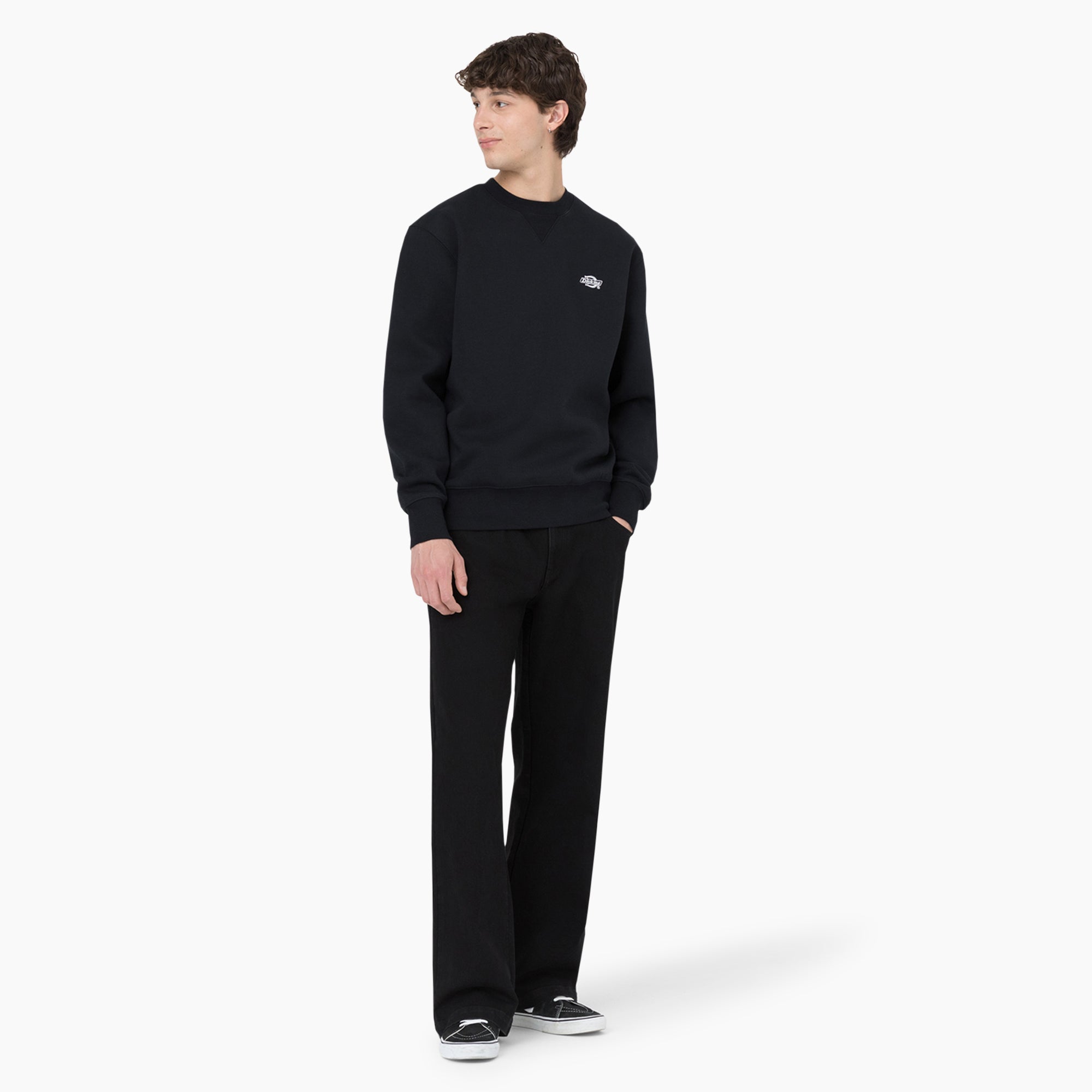 Dickies Skateboarding Wingville Loose Fit Jeans